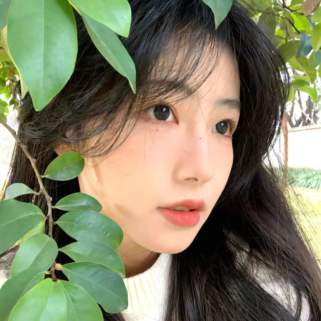 电影版 声之形