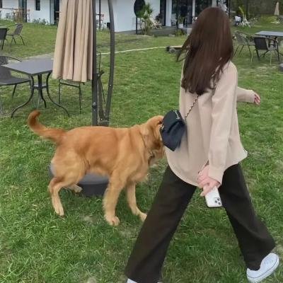 鱿鱼仔的乡土生活第十二季