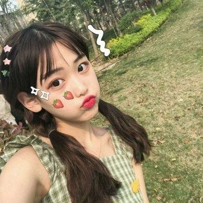 金凤凰国语